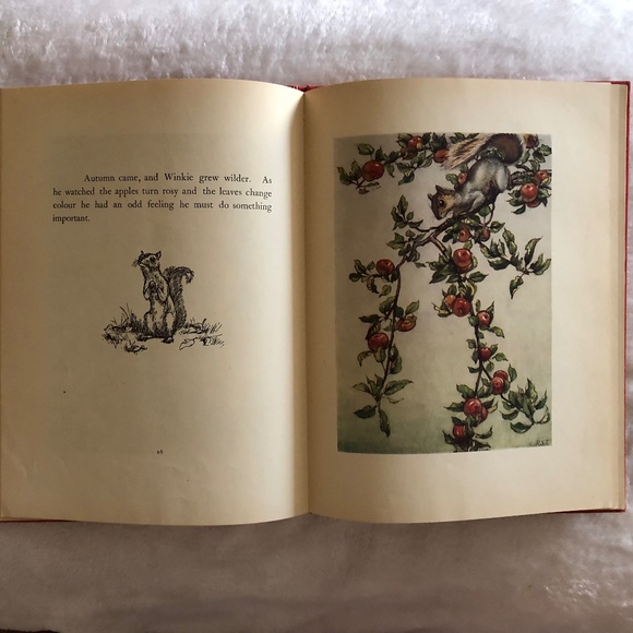 Winkle by Albra Pratten, 1950 - Picture 10 of 13